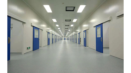 Ten thousand grade purification workshop